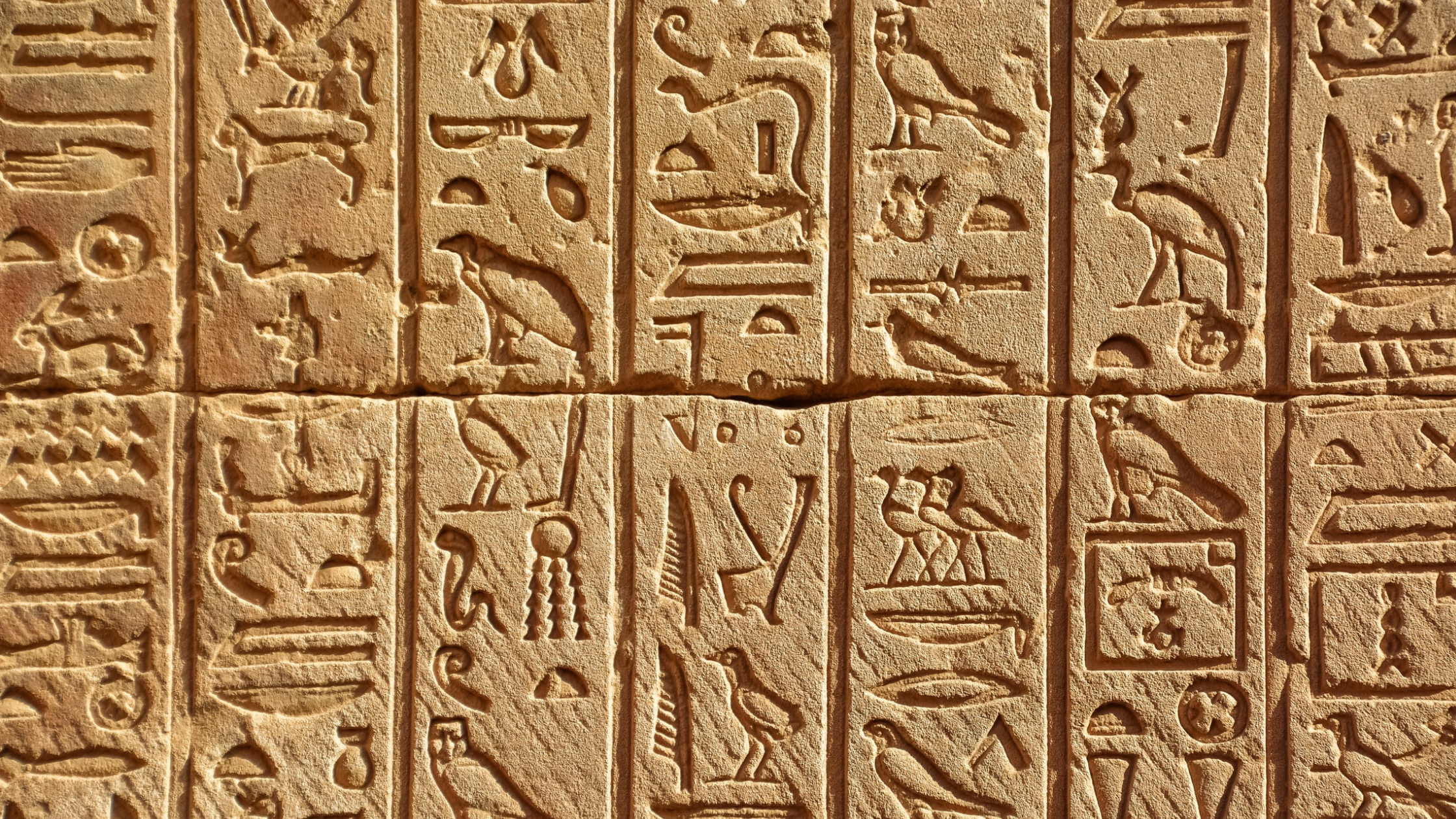 Who came first; Amenhotep or Akhenaten ?